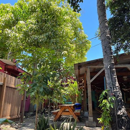 Banana Bungalow Maui Hostel Wailuku Eksteriør billede