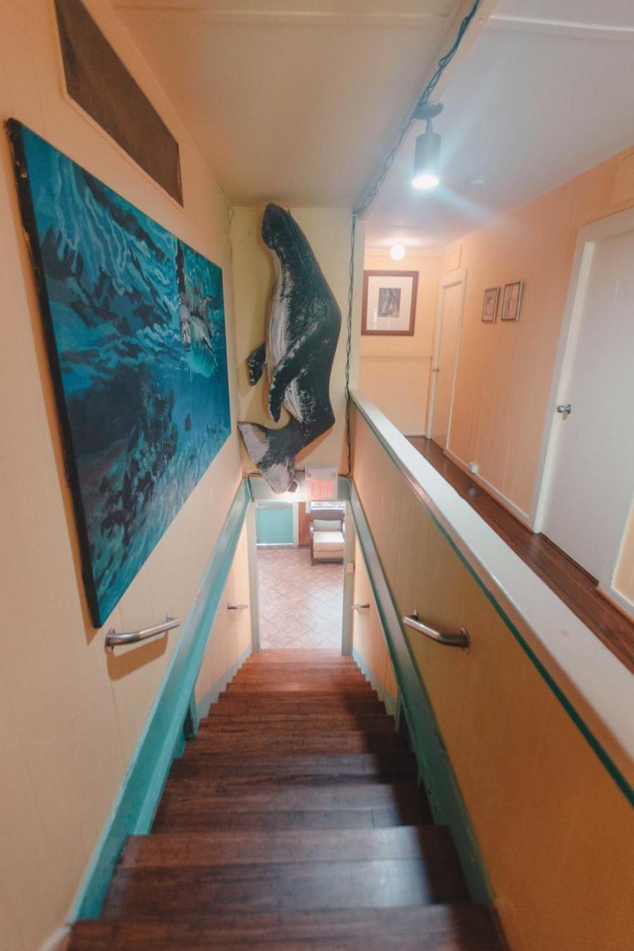 Banana Bungalow Maui Hostel Wailuku Eksteriør billede
