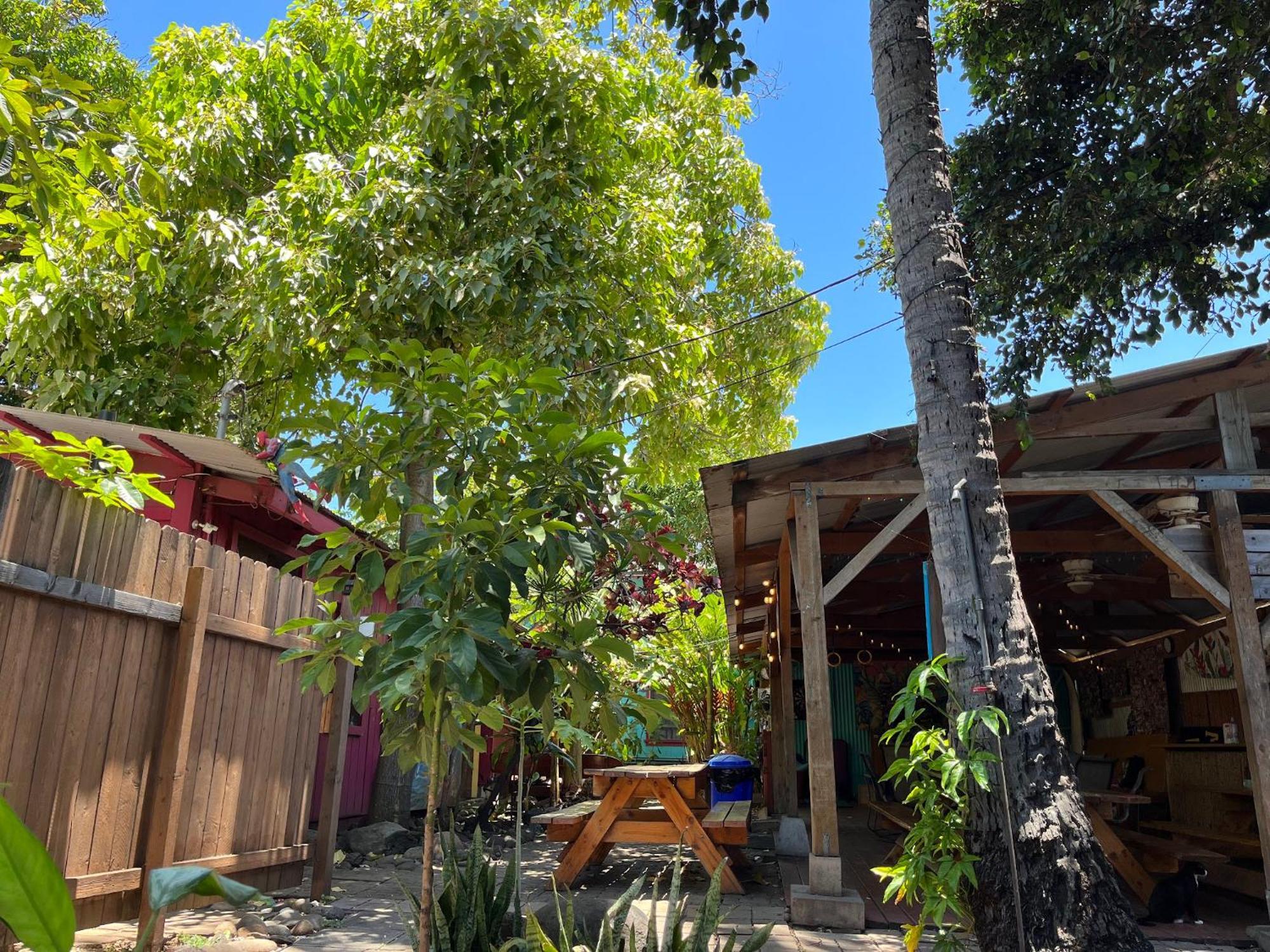 Banana Bungalow Maui Hostel Wailuku Eksteriør billede